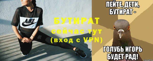 ПСИЛОЦИБИНОВЫЕ ГРИБЫ Богданович