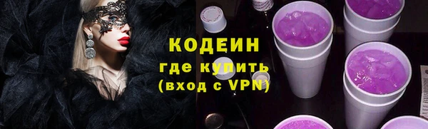 ПСИЛОЦИБИНОВЫЕ ГРИБЫ Богданович