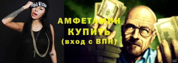ПСИЛОЦИБИНОВЫЕ ГРИБЫ Богданович