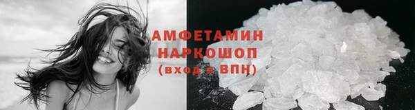 ПСИЛОЦИБИНОВЫЕ ГРИБЫ Богданович