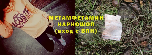 ПСИЛОЦИБИНОВЫЕ ГРИБЫ Богданович